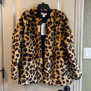 Leopard Jacket by Band of Gypsies Brand.  NWT!